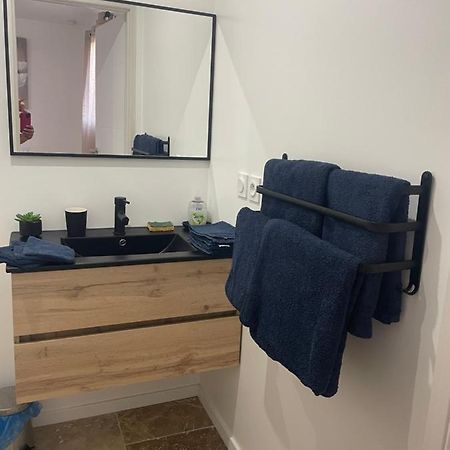 Bienvenue En Beaujolais Apartment Saint-Jean-d'Ardieres ภายนอก รูปภาพ
