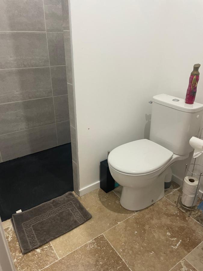Bienvenue En Beaujolais Apartment Saint-Jean-d'Ardieres ภายนอก รูปภาพ