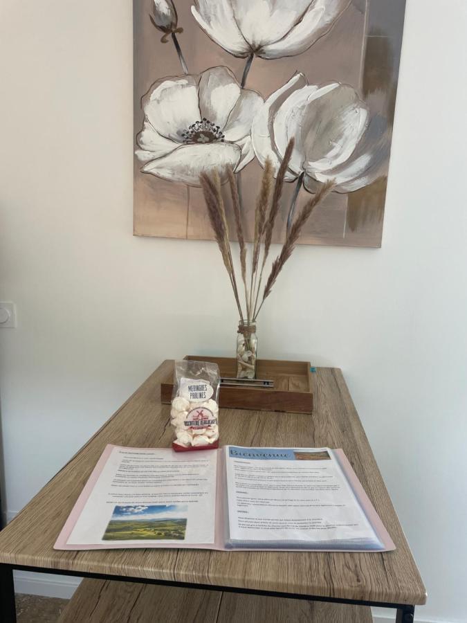 Bienvenue En Beaujolais Apartment Saint-Jean-d'Ardieres ภายนอก รูปภาพ
