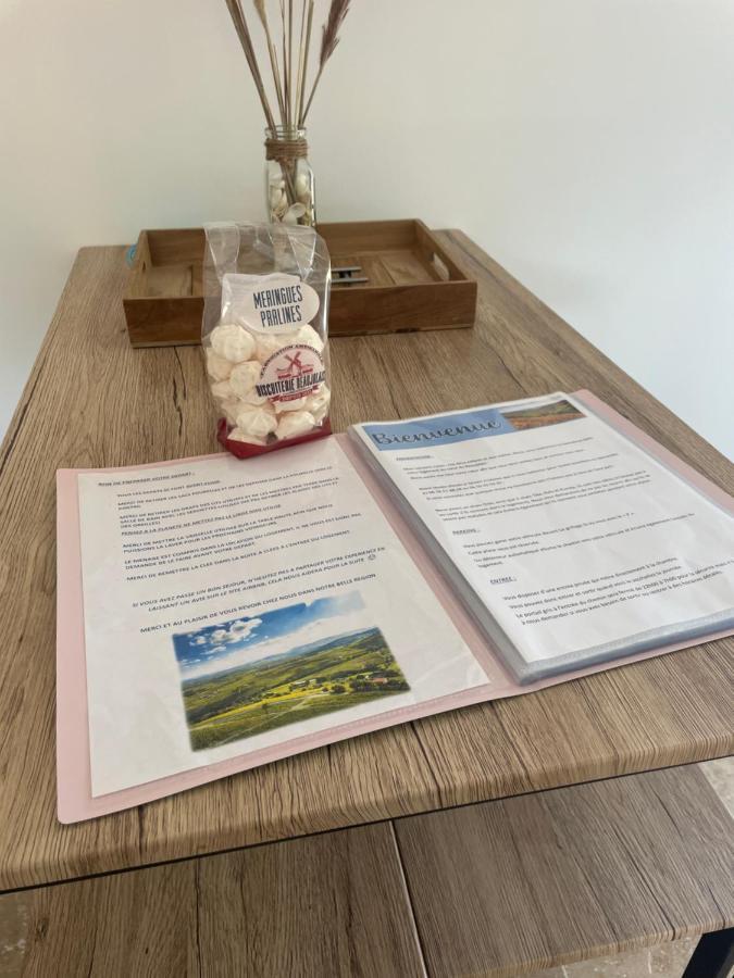 Bienvenue En Beaujolais Apartment Saint-Jean-d'Ardieres ภายนอก รูปภาพ